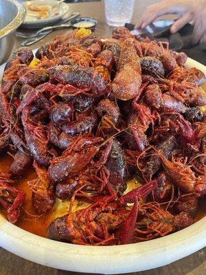 Crawfish