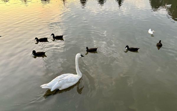 Tranquility at Dusk