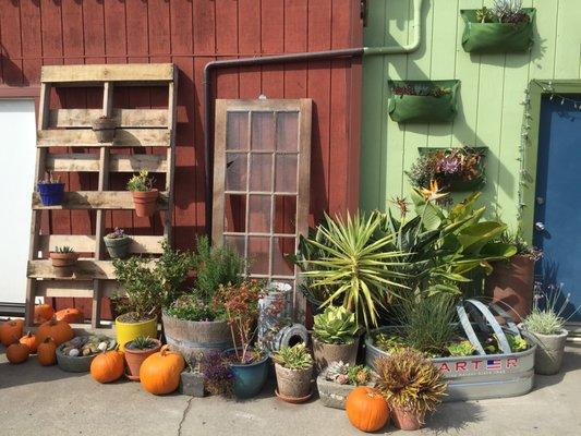 The courtyard at Urbanfarmgirls