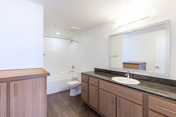 Bathroom with glamor style spotlight mirrors, modern wood cabinetry and premium silver finishes. shower with large resort style soaking tub.