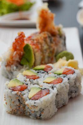 Salmon Avocado Roll