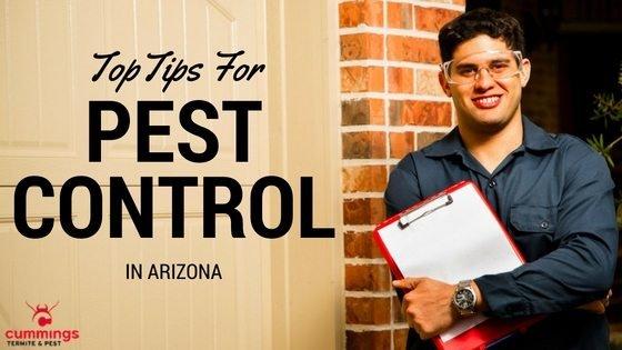 Pest Control Scottsdale