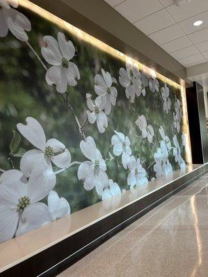 Beautiful wall photo mural at Atrium Health Davie Medical Center.