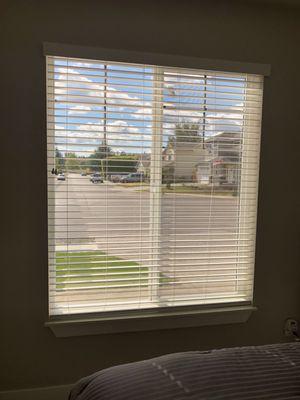 I had all of my west-facing windows tinted and it's already made such a huge difference in keeping my house cool.