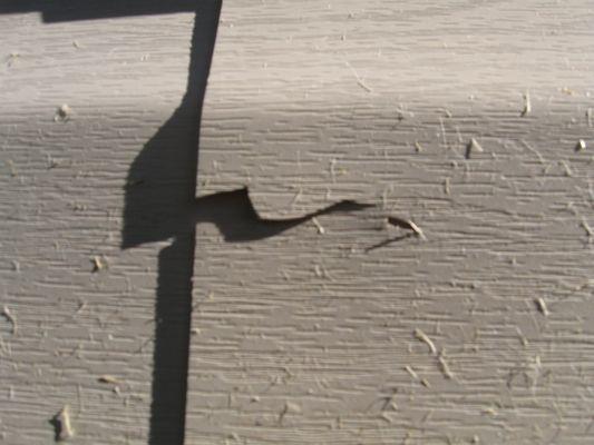 Damaged siding