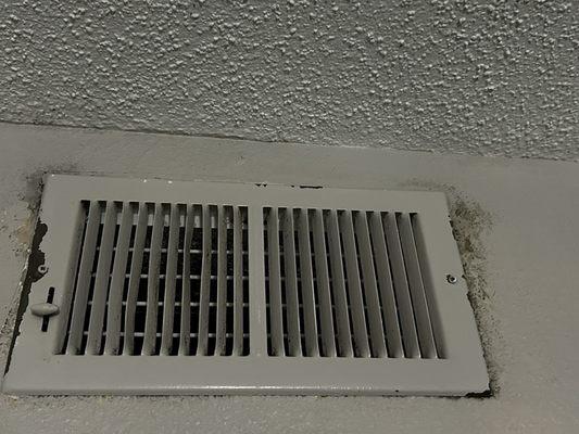 Moldy vents