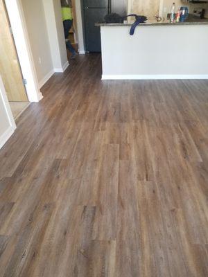 Lvt flooring installation  from today