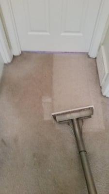 Hi Tek Professional Carpet Care