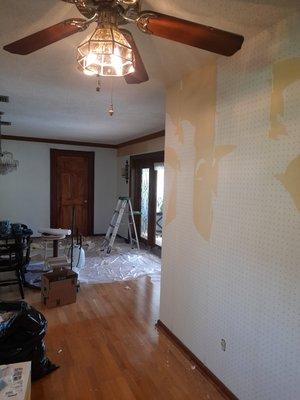 Wallpaper remove in plantation