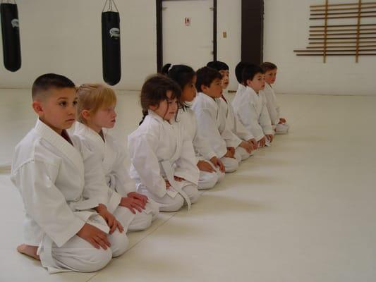 Aikido for 4 year olds.  Start them young at Tri City Aikido and let us teach them discipline and structure.