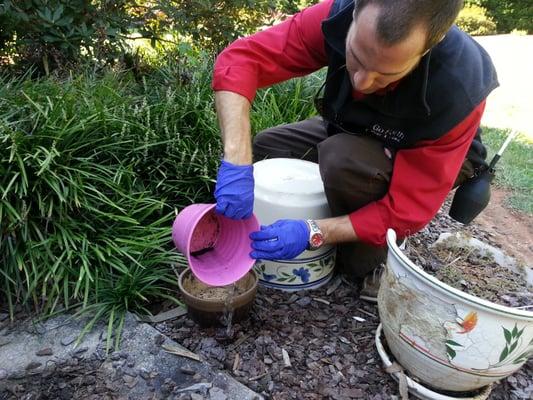 Step 19 Inspect, and eliminate when possible, mosquito breeding sites