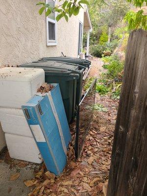 The front side yard before clean-up