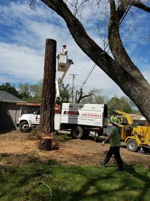 Who better to use then ur locally raised , locally owned, tree company Clark's Tree Works..