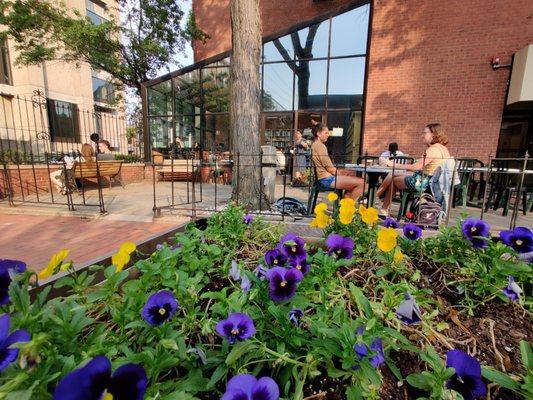 Fabulous outdoor patio area at the Booktrader Café.