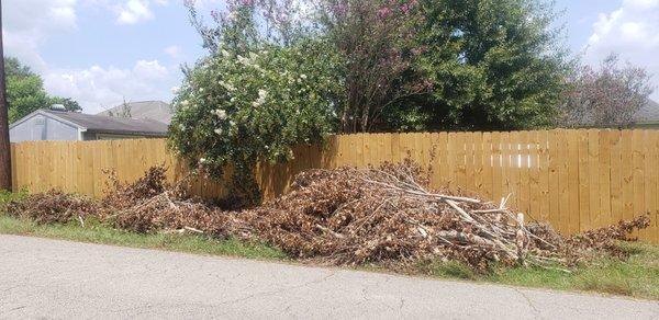 This is the debris that was picked up by Tree Tech.