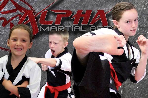 Alpha Martial Arts - creating outstanding black belts who are strong both mentally and physically!