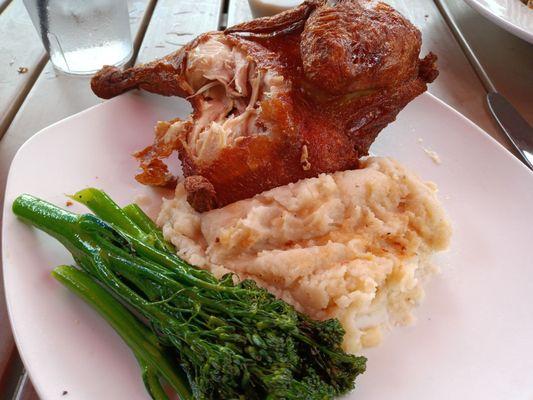 Roasted half chicken with broccolini & house made mashed potatoes