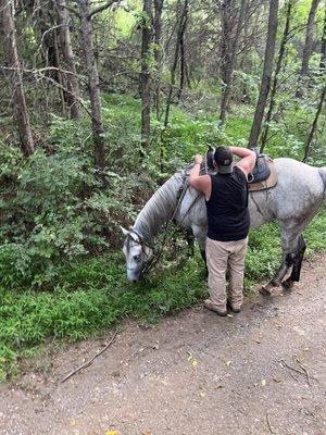 Our helpful, if reluctant guide