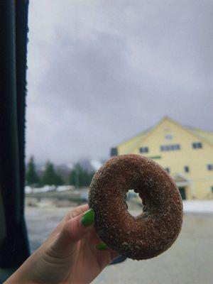 Cinnamon Sugar Donut