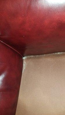 Mold underneath seat cushion of a leather chair