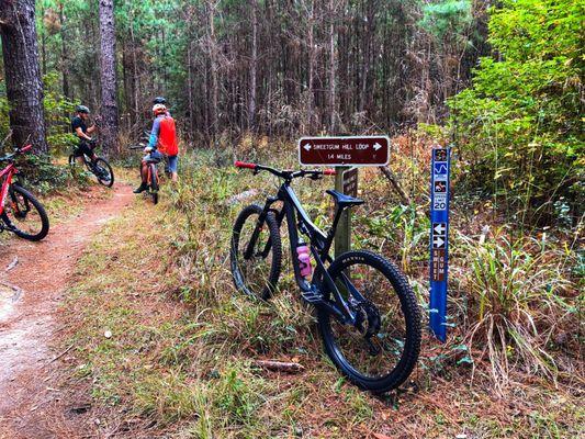 Sweetgum Hill Loop