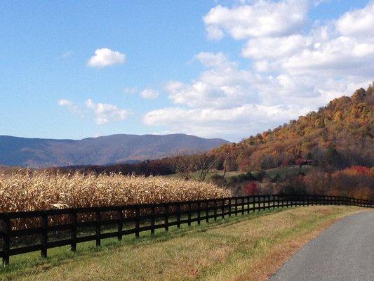 Fall colors in Madison County