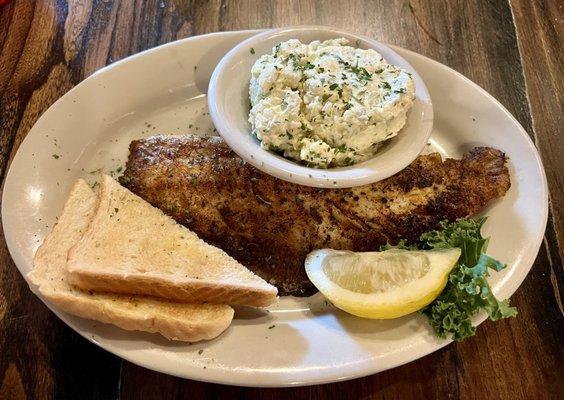 Blackened Speckled Trout Plate with Potato Salad (also included a side salad).