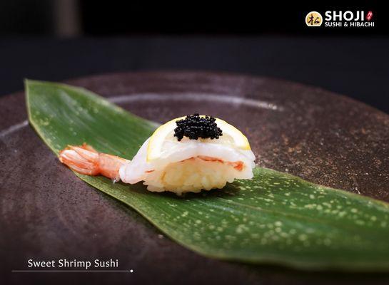 Shoji Sushi & Hibachi | Address: 2575 Main St, Frisco, TX 75034, USA | Call: 214-705-7777