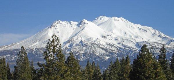 Pages of Mt Shasta