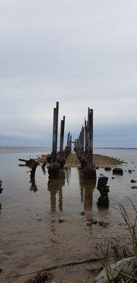 St Marks Wildlife Refuge