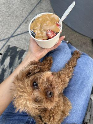 Buddha bowl extra peanut butter, no chocolate drizzle or honey