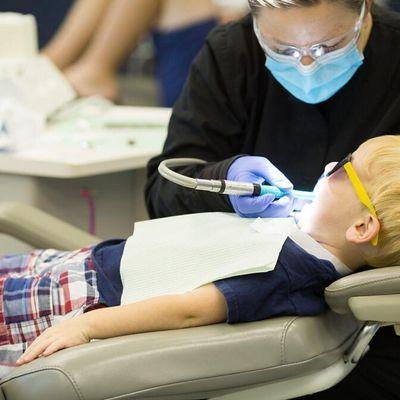 Spring and Sprout Pediatric Dentistry