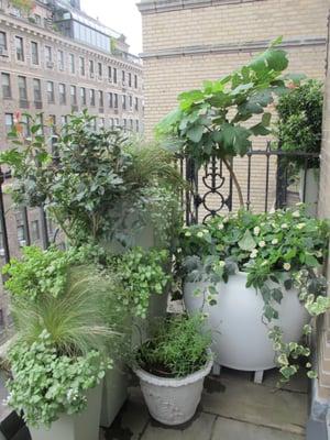 Upper West Side Terrace