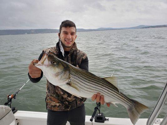 A Good Sized Striper!