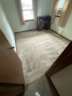 Carpet cleaning