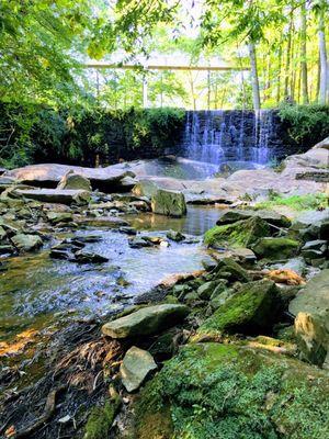 Beautiful trail to hike on the campus during the fall