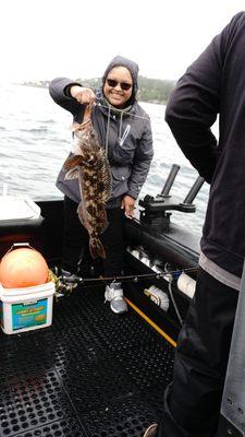 Lingcod