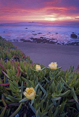 Santa Cruz Sunset