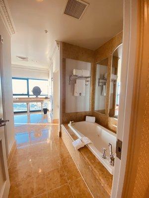 Penthouse master bathroom