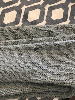 They made a hole on my wife's 1 month old sweater, and the worst part was they didn't even say sorry.