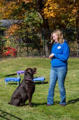 Playful Pups Retreat