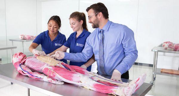 Students receive expert instruction and train with groundbreaking education technology, like the Synthetic Cadavers. 
 
 *OC Campus Shown