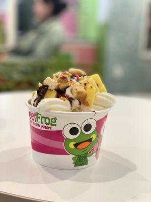 sweetFrog Premium Frozen Yogurt