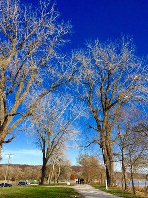 Pretty blue sky with naked tree branches at Platte Landing Park --- 11/26'16 14:30