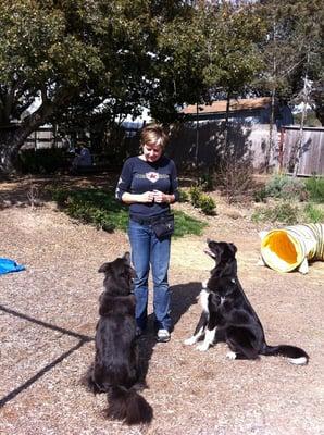 Our dogs love Cynthia!