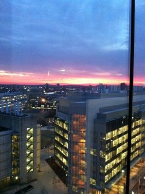 View from 13th floor in Kendall Sq