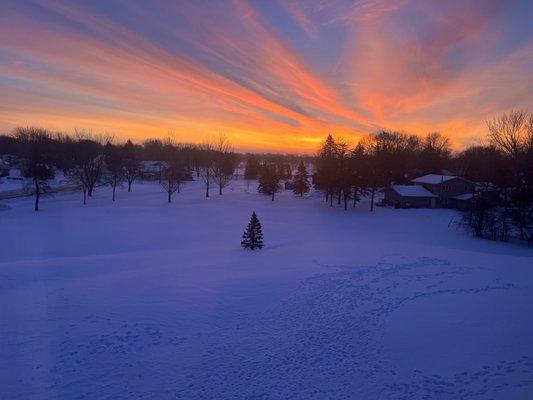 Morning view from my room