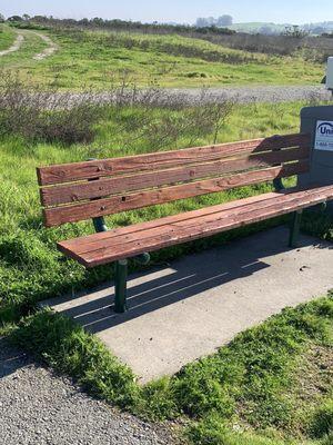 Lots of benches