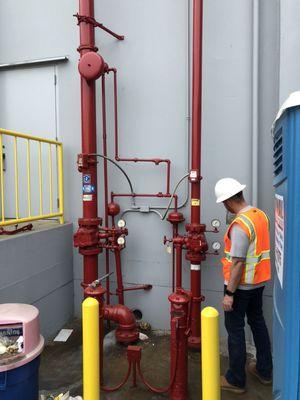 5 year fire sprinkler testing