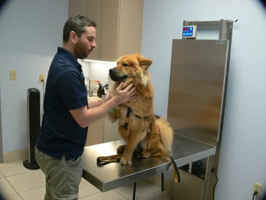 Fountain Hills Veterinary Hospital